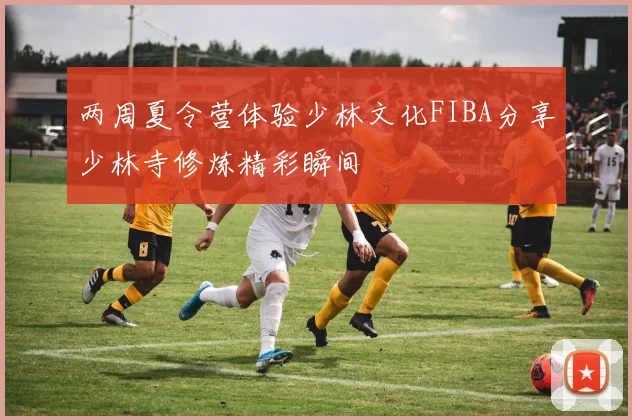 两周夏令营体验少林文化FIBA分享少林寺修炼精彩瞬间